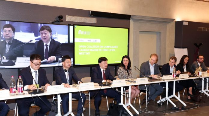 Cina pronta a contribuire a sviluppo OCCCM come piattaforma di cooperazione aperta e inclusiva