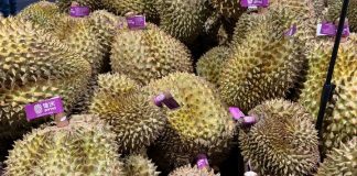 Cina: a Nanning grande consumo di durian (1)