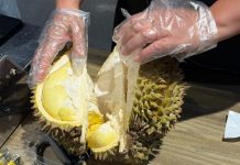 Cina: a Nanning grande consumo di durian (2)