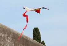 Roma: al Parco degli Acquedotti il festival internazionale degli aquiloni (3)
