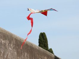 Roma: al Parco degli Acquedotti il festival internazionale degli aquiloni (3)