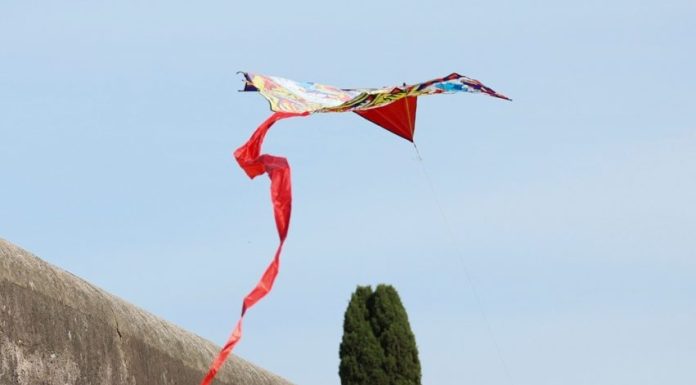 Roma: al Parco degli Acquedotti il festival internazionale degli aquiloni (3)