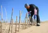 Cina: Hangjin Banner promuove progetti per contrastare desertificazione (1)