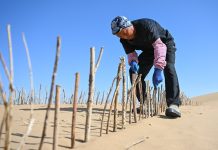 Cina: Hangjin Banner promuove progetti per contrastare desertificazione (1)