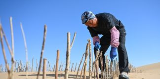 Cina: Hangjin Banner promuove progetti per contrastare desertificazione (1)