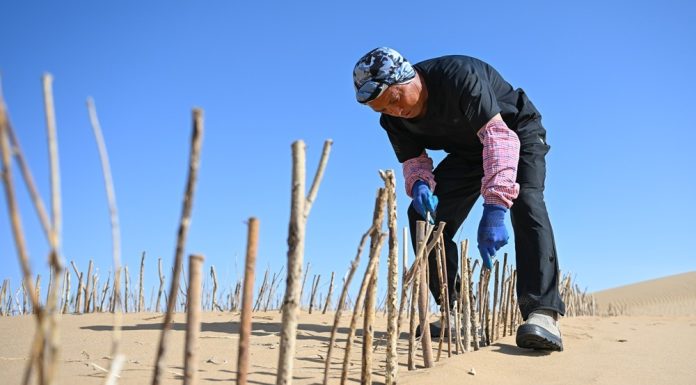 Cina: Hangjin Banner promuove progetti per contrastare desertificazione (1)
