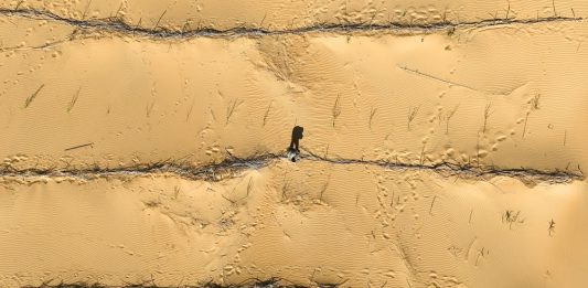 Cina: Hangjin Banner promuove progetti per contrastare desertificazione (2)