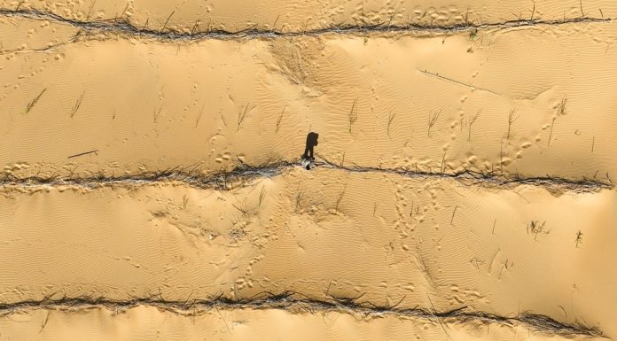 Cina: Hangjin Banner promuove progetti per contrastare desertificazione (2)