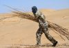 Cina: Hangjin Banner promuove progetti per contrastare desertificazione (3)