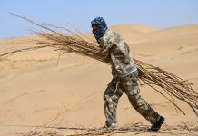Cina: Hangjin Banner promuove progetti per contrastare desertificazione (3)