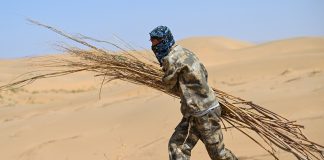 Cina: Hangjin Banner promuove progetti per contrastare desertificazione (3)