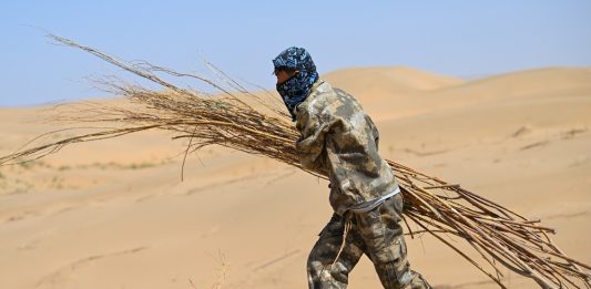 Cina: Hangjin Banner promuove progetti per contrastare desertificazione (3)