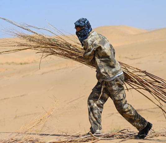 Cina: Hangjin Banner promuove progetti per contrastare desertificazione (3)