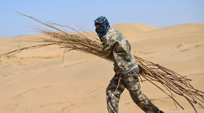 Cina: Hangjin Banner promuove progetti per contrastare desertificazione (3)
