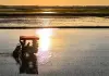 Cina: Heilongjiang entra nella stagione del trapianto del riso (3)