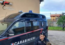 A Palermo va in pensione il cane antidroga Ron