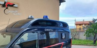 A Palermo va in pensione il cane antidroga Ron
