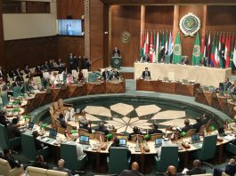Egitto: a Il Cairo si apre Conferenza sul partenariato Cina-Paesi arabi (1)