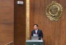 Egitto: a Il Cairo si apre Conferenza sul partenariato Cina-Paesi arabi (2)