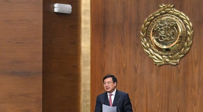 Egitto: a Il Cairo si apre Conferenza sul partenariato Cina-Paesi arabi (2)