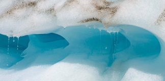 Ambiente: studio, riscaldamento globale riduce l’ossigeno nei fiumi di tutto il mondo