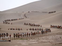 Cina celebra Giornata nazionale del turismo (3)