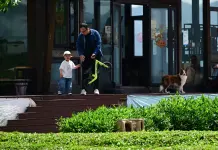 Cina: Luxi valorizza turismo e piantagioni di tè nell’Anhui (1)