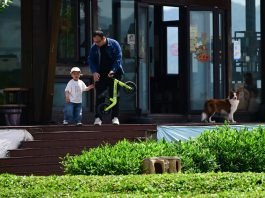 Cina: Luxi valorizza turismo e piantagioni di tè nell’Anhui (1)