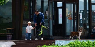 Cina: Luxi valorizza turismo e piantagioni di tè nell’Anhui (1)
