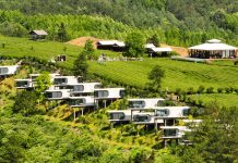 Cina: Luxi valorizza turismo e piantagioni di tè nell’Anhui (2)