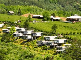 Cina: Luxi valorizza turismo e piantagioni di tè nell’Anhui (2)