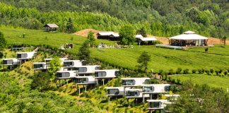 Cina: Luxi valorizza turismo e piantagioni di tè nell’Anhui (2)