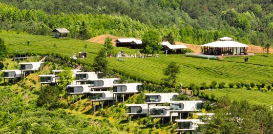 Cina: Luxi valorizza turismo e piantagioni di tè nell’Anhui (2)