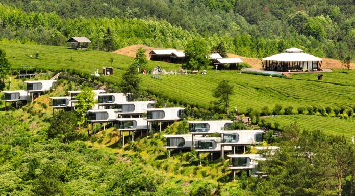 Cina: Luxi valorizza turismo e piantagioni di tè nell’Anhui (2)