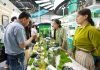 Cina: Hangzhou, al via l’ottava Fiera internazionale del tè cinese (2)