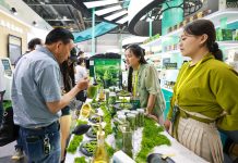 Cina: Hangzhou, al via l’ottava Fiera internazionale del tè cinese (1)