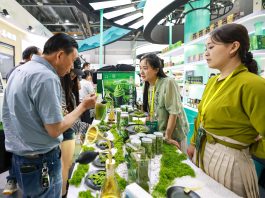 Hangzhou, al via l’ottava Fiera internazionale del tè cinese (2)
