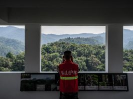 Cina: tutela degli elefanti asiatici nella riserva di Xishuangbanna (2)