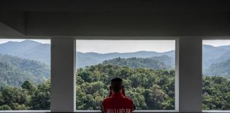 Cina: tutela degli elefanti asiatici nella riserva di Xishuangbanna (2)