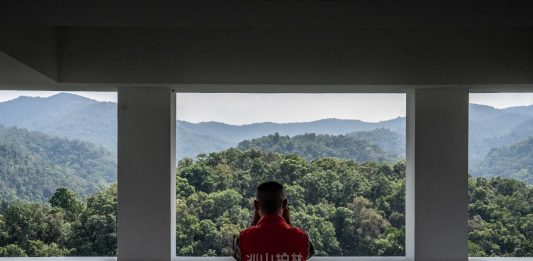 Cina: tutela degli elefanti asiatici nella riserva di Xishuangbanna (2)