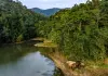 Cina: tutela degli elefanti asiatici nella riserva di Xishuangbanna (4)