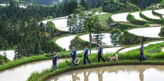 Cina: la tintura a cera Miao tra tradizione e nuove opportunità (2)