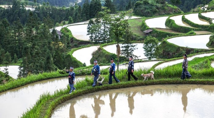 Cina: la tintura a cera Miao tra tradizione e nuove opportunità (2)