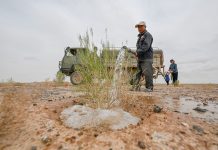 Cina: da 19 anni nel deserto per trasformare le dune in oasi (1)