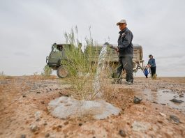 Cina: da 19 anni nel deserto per trasformare le dune in oasi (1)