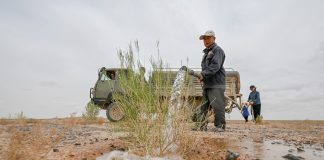 Cina: da 19 anni nel deserto per trasformare le dune in oasi (1)
