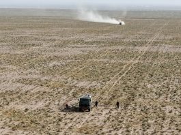 Cina: da 19 anni nel deserto per trasformare le dune in oasi (2)
