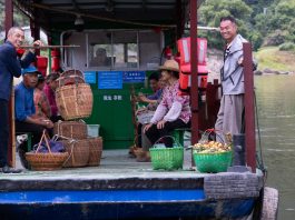 Cina: raccolta delle nespole nell’Anhui nel segno della tradizione (3)