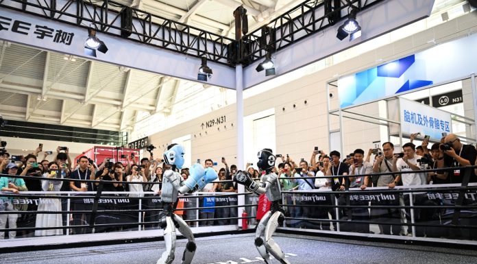 Cina: robot umanoidi protagonisti alla World Intelligence Expo (2)