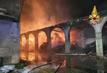 Un incendio devasta Cascina Rancate nel Milanese, tratte in salvo 510 mucche / Video
